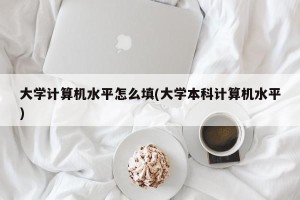 大学计算机水平怎么填(大学本科计算机水平)