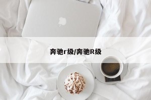 奔驰r级/奔驰R级